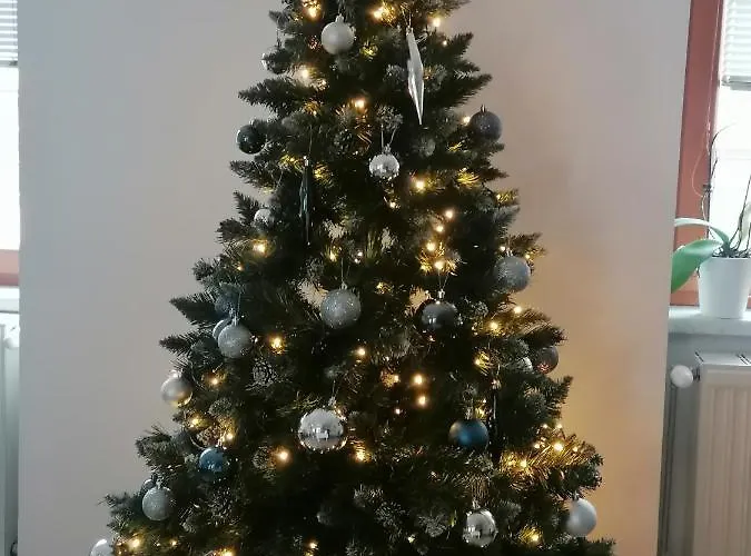 Catalleya Haus Langenlois